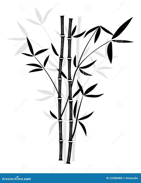 Vector Bamboo Stock Photo Image 22588480