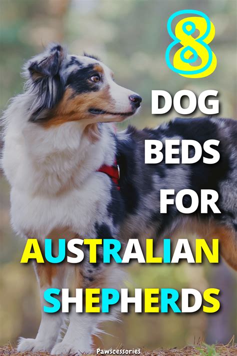 Top 8 Best Dog Beds For Australian Shepherds Cool Dog Beds