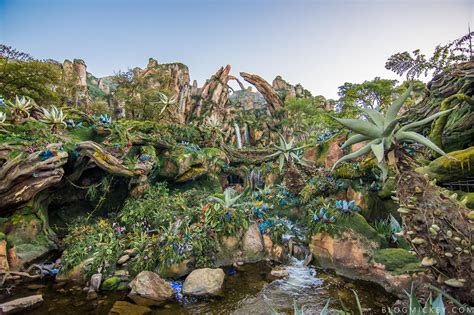 VIDEO + PHOTOS: Full Walk-Through of Flight of Passage Queue - Blog Mickey