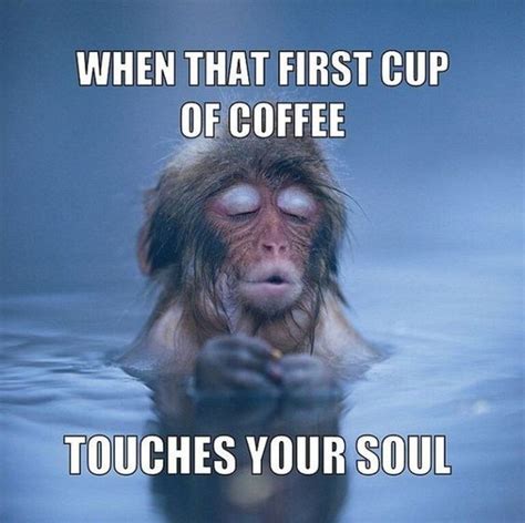 Coffee Humor To Start Your Day With Funny Images Quotes And Memes