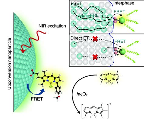 Schematic Of Single Upconversion Nanoparticle Based Molecular Sensing