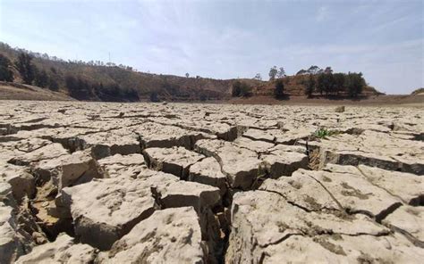 Continúa La Sequía En Cinco Municipios De Durango El Sol De Durango