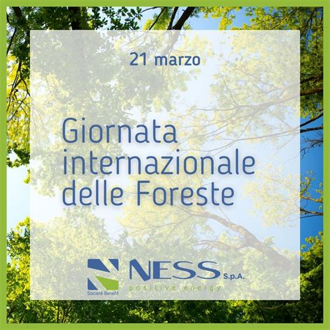 Giornata Internazionale Delle Foreste Ness Italia