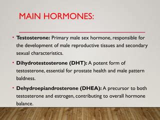 MALE SEX HORMONE Presentation Amruthesh Pptx