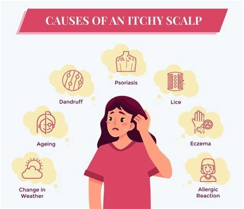 Causes Of Itchy Scalp By Sublime Life Itchy Scalp Itchy Scalp