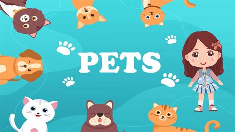 Lolli Ensina Pets Animais de Estimação YouTube