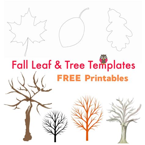 Free Printable Fall Leaf and Tree Templates - Emma Owl