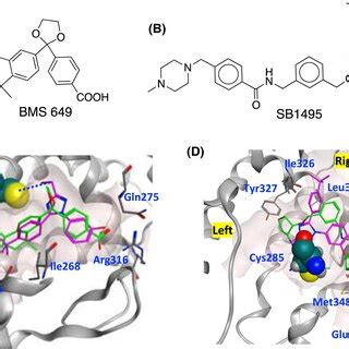 Dockingbased Identification Of Binding Targets For MM902 A Structure