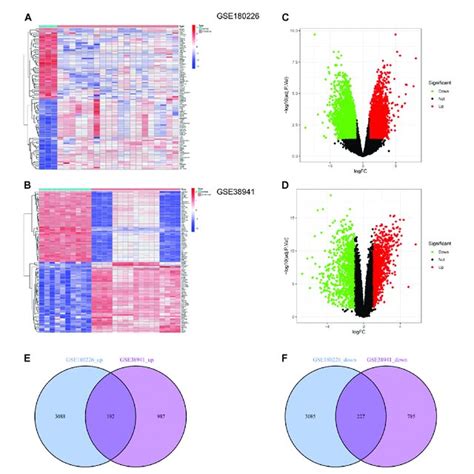 Identification Of Common Degs Between Covid And Alf A Heatmap Of