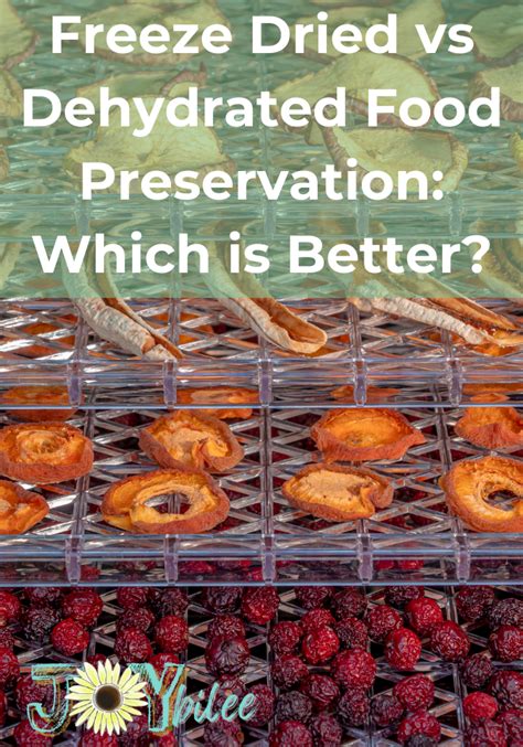 Freeze Dried vs Dehydrated Food Preservation: Which is Better?