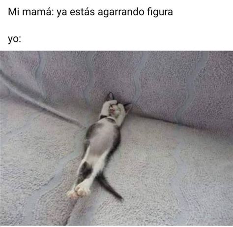 7271 Me Gusta 28 Comentarios Memes De Gatitos 😺 Imemesdegatitos