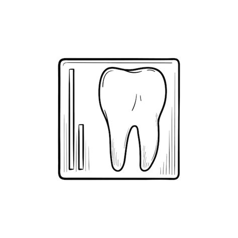 Premium Vector Tooth X Ray Hand Drawn Outline Doodle Icon Dentist