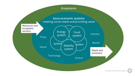 Ecosystems And Socio Economic Systems