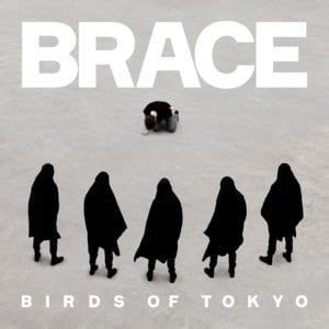 Birds Of Tokyo Lyrics Songs And Albums Genius