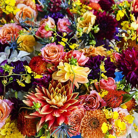 Heres Everything You Need To Know About Your Birth Flower And What It Means Geburt Blumen