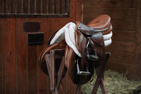 5 Best English Saddle Brands on the Market - Horse Rookie