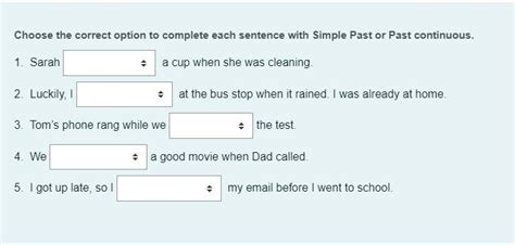 Choose The Correct Option To Complete Each Sentence With Simple Past Or Past Continuous