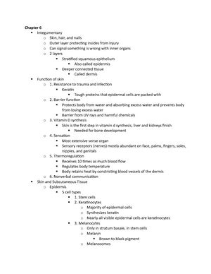 Anatomy And Physiology Of Bones Biol Studocu