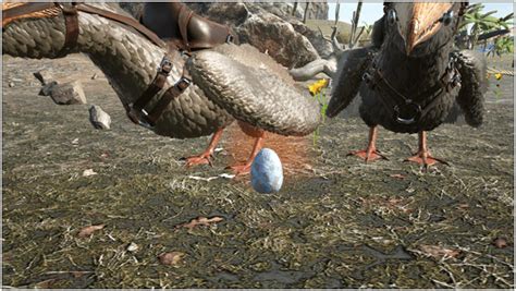 Ark Pelagornis Guide (Abilities, Taming, Food, Saddle, Breeding, Drops ...