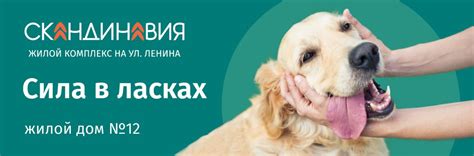 Скандинавия 12