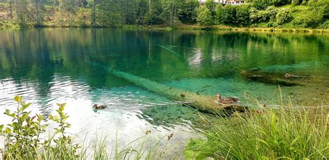 Von Oberstdorf zum Christles See Hölltobel Gerstruben und zurück nach