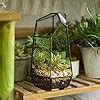 Ncyp X X Cm Irregular Prism Glass Geometric Terrarium Planter