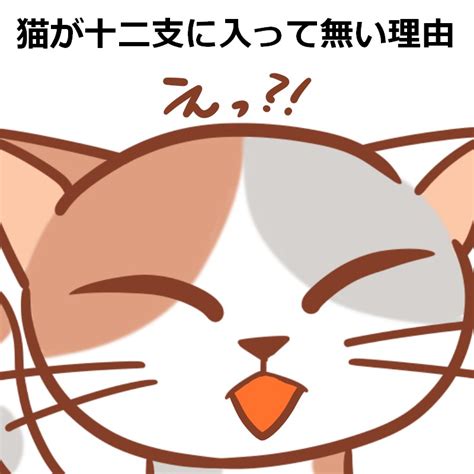 猫好きには納得できない！猫が十二支に入って無い理由 Nyan×3