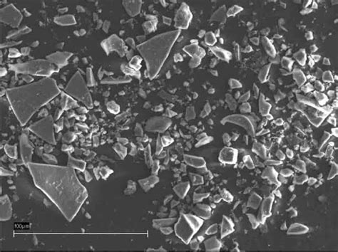 Danonino on Twitter Estas son imágenes de microscopio de barrido