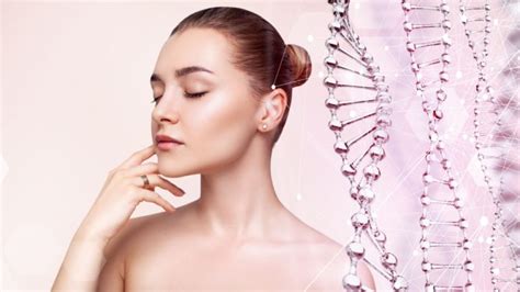 Stem Cell Therapy In Cosmetics 2024