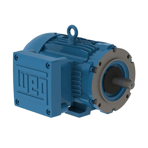 W Explosion Proof Motor Nema Premium Efficiency Hp P Tc Ph