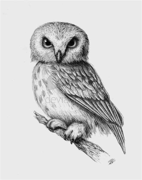 Owl By Mrsbobetski On DeviantART Owl Tattoo Drawings Owls Drawing