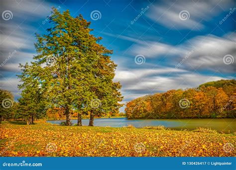 Windy Day Stock Image Image Of Gust Color Autumn 130426417