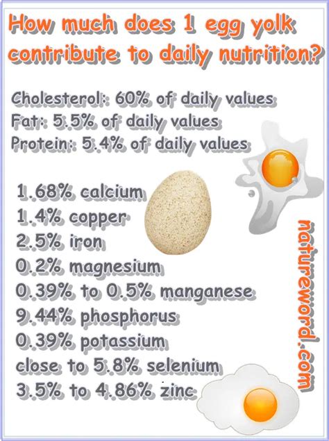 Egg Yolk Nutrition Facts Per 1 Egg Yolk Natureword