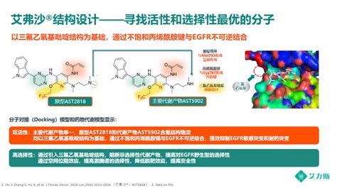 Csco 2020丨nsclc精准治疗新希望——三代egfr Tki伏美替尼 肿瘤瞭望