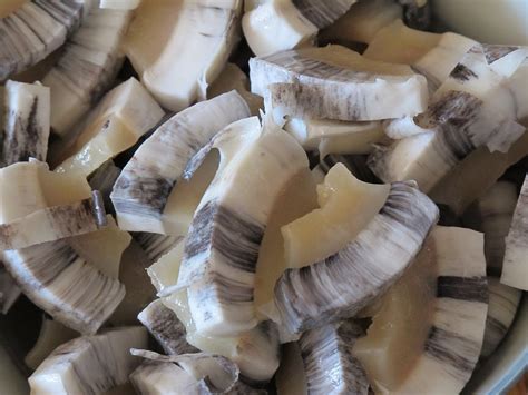 What Is The Inuit Diet And What Can It Teach Us Dr Robert Kiltz