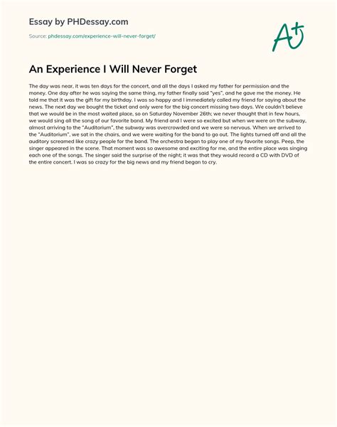 An Experience I Will Never Forget Narrative Essay Sample 300 Words