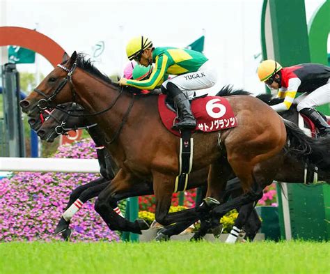 【菊花賞】サトノグランツ ラスト1冠獲りへコース替わり歓迎 友道師「坂の下りを利用できる京都はいい」 スポニチ競馬web