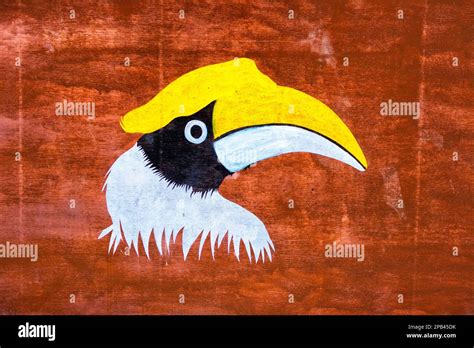 Great Indian Hornbill Symbol Of The Hornbill Festival Kohima