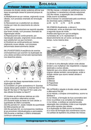 45865588 Nucleo E Divisao Exercicios PDF