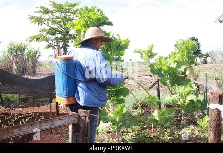 Campo Mour O Pr Agroneg Cio Emite Gases De Efeito Estufa