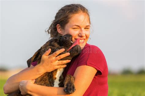 La Chica Joven Abraza Dos Perros Del Boxeador Imagen De Archivo