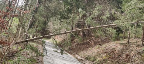 Unwettereinsätze im Einsatzgebiet Freiwillige Feuerwehr der Stadt