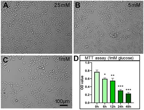 The Proliferation Of Pc12 Cells Cultured With Lg Cm Was Decreased Pc12 Download Scientific