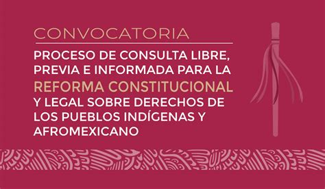 Consulta Para La Reforma Constitucional Y Legal Sobre Derechos De Los