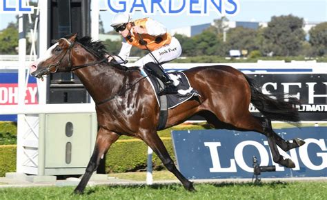 Coolmore Stud Stakes favourite to miss the Spring | Sports News Australia