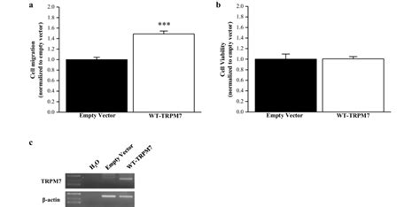 Overexpression Of Trpm7 In Mcf10a Cells A Cell Migration In Mcf10a