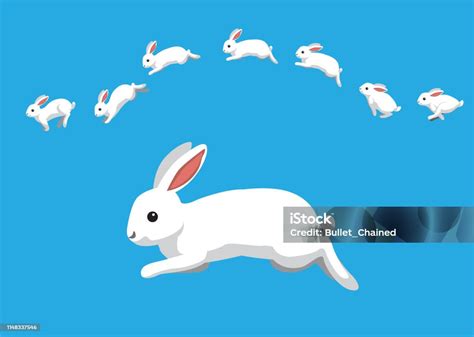 White Rabbit Jumping Motion Animation Sequence Cartoon Vector ...