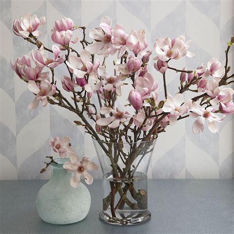 Tulip Magnolia Flowering Branches | White Flower Farm