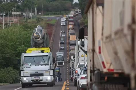 Vai Pegar A Estrada Confira Os Cuidados Indispens Veis Para Manter A