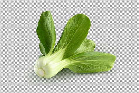 Premium Psd Fresh Green Chinese Cabbage Bok Choy Pok Choi Or Pak